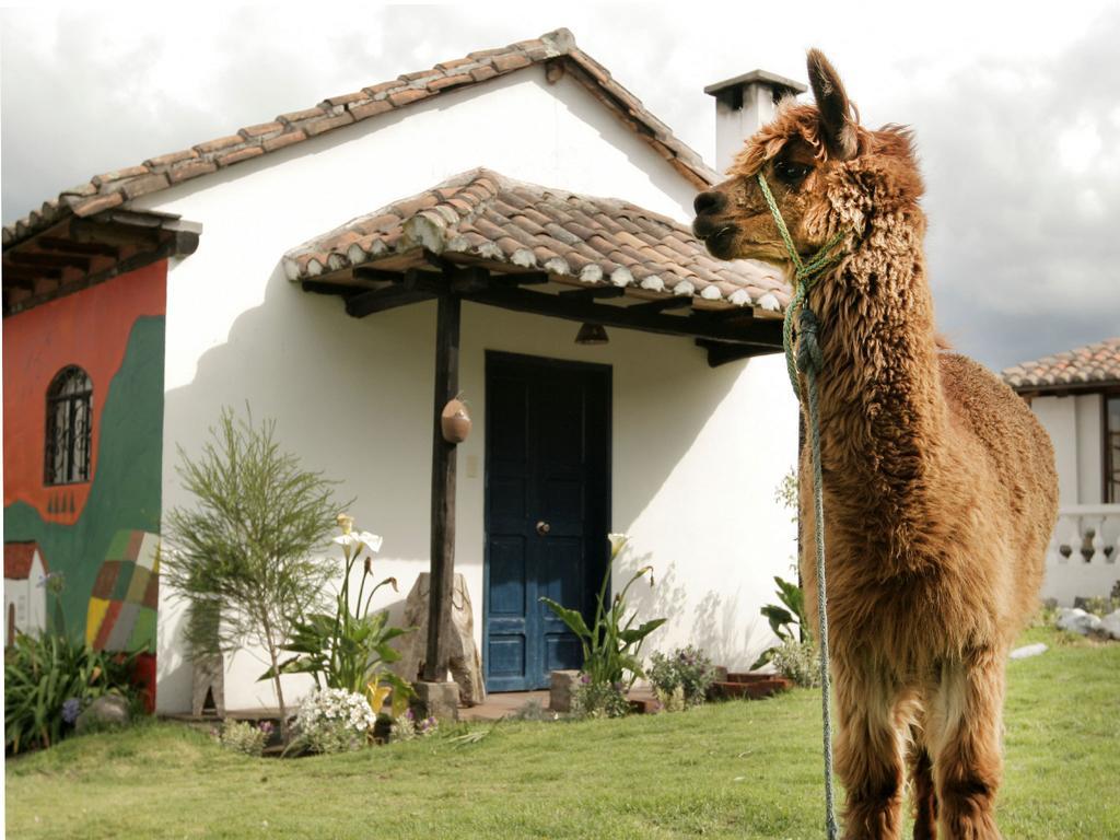 La Quinta Colorada Otel Lasso Dış mekan fotoğraf