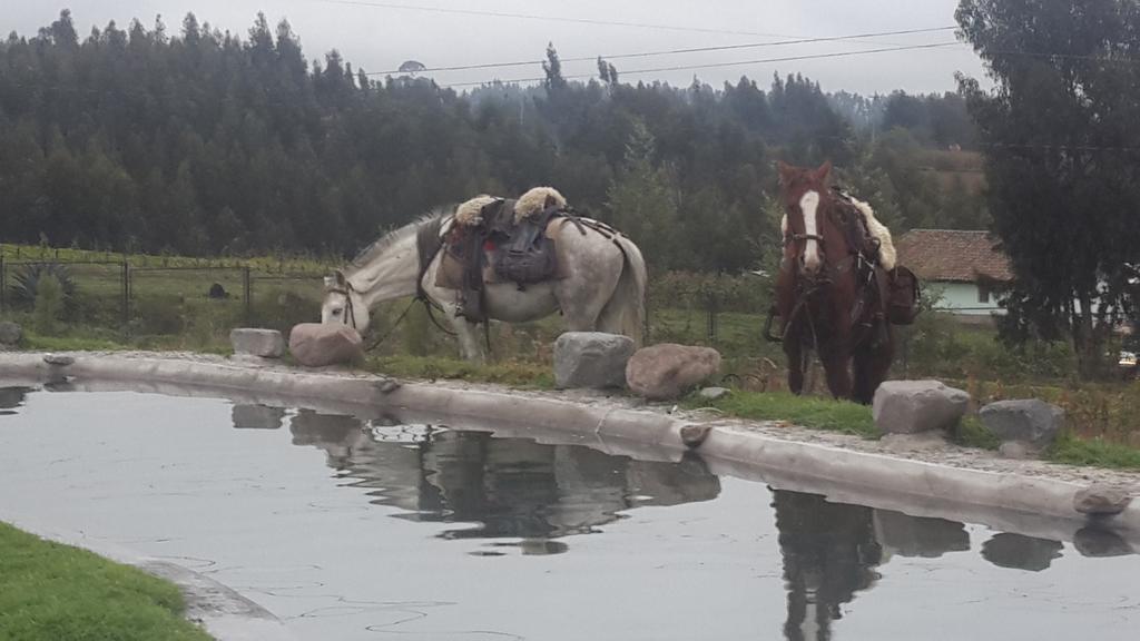 La Quinta Colorada Otel Lasso Dış mekan fotoğraf