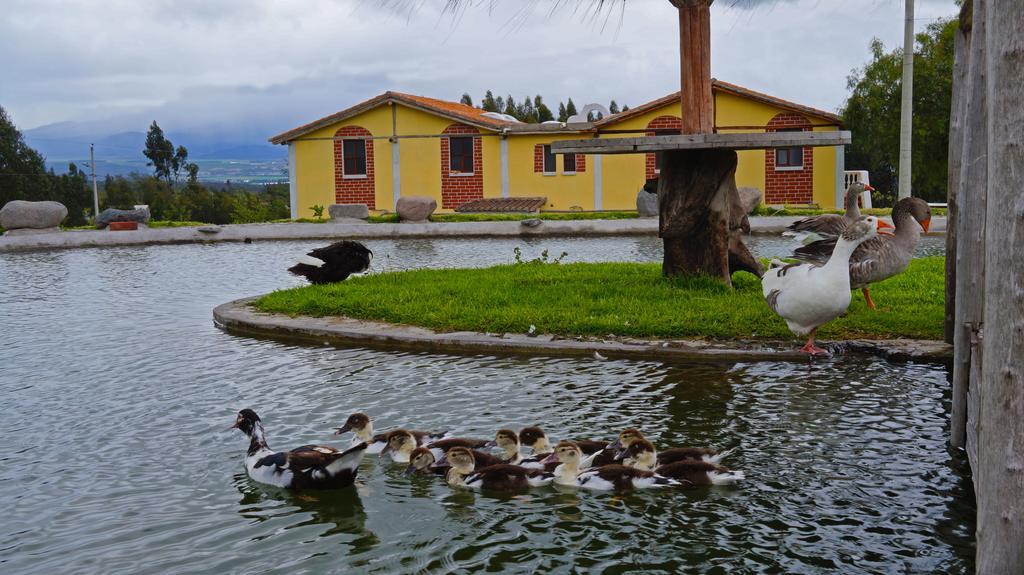 La Quinta Colorada Otel Lasso Dış mekan fotoğraf